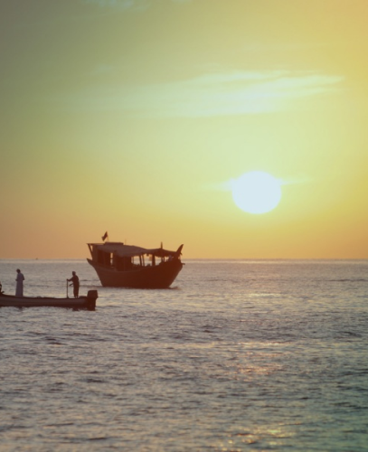 Star of The Sea Tours