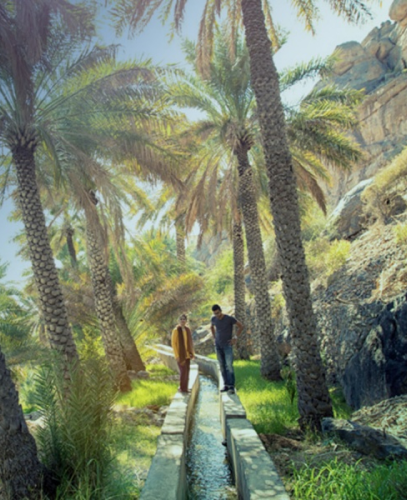 Canyon Adventures Tours