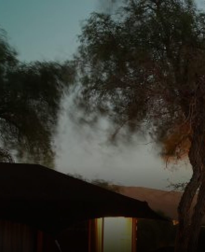 Thousand Nights Camp