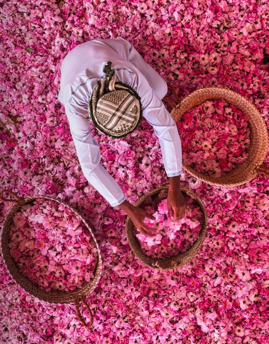 Masirah Island spring scenery